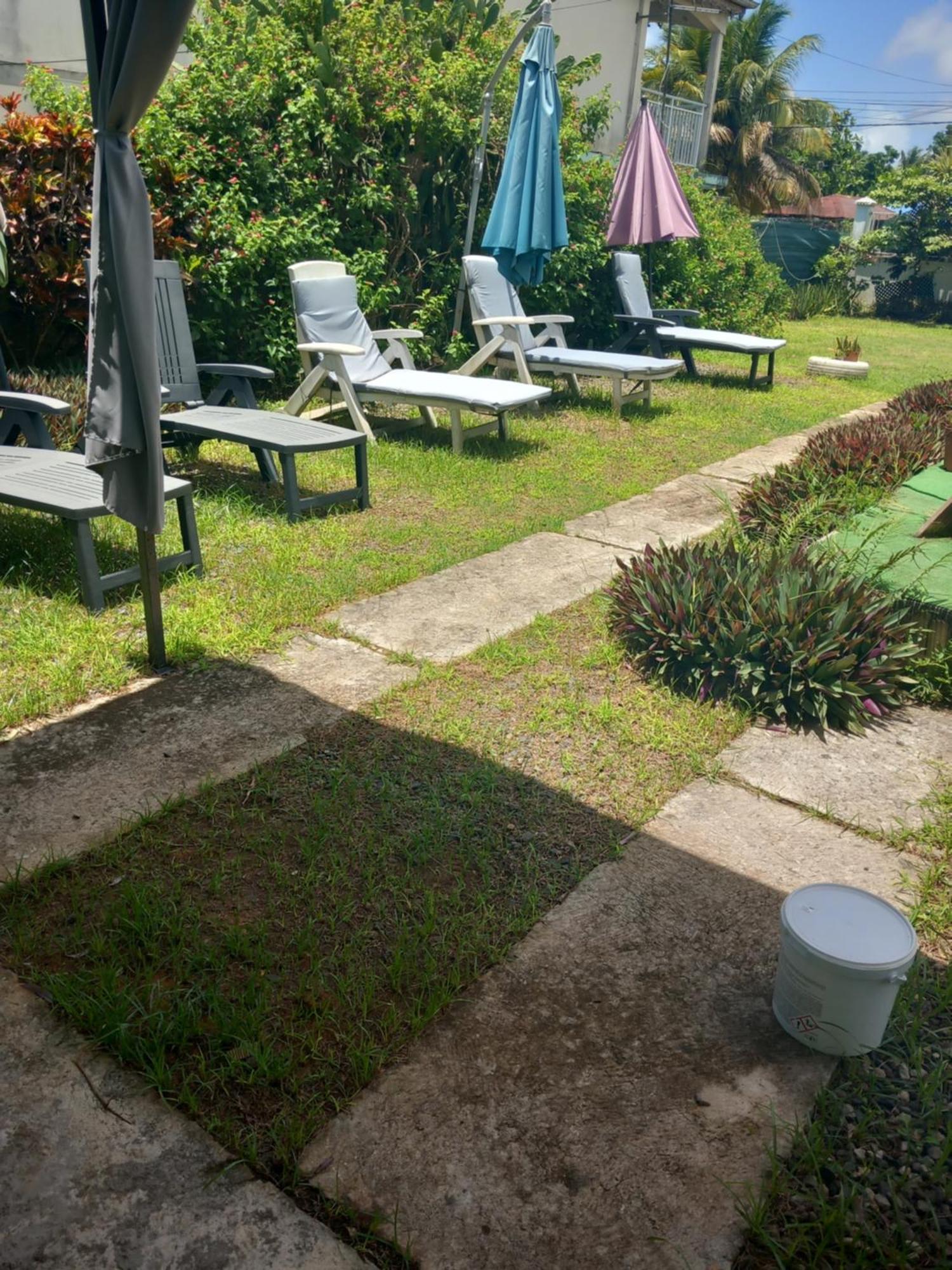 Villa Goyavier เปอตีต์-บูร์ก ภายนอก รูปภาพ